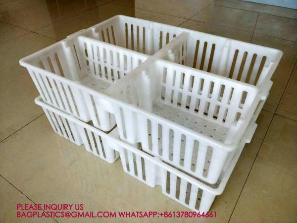 sustainable white chicken cage 680*490*160mm Virgin PP Transportation Chicken