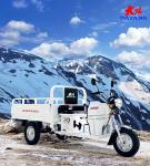 Motorized 150cc Classical Light Loading Truck Cargo Tricycle with 4.0 Inch