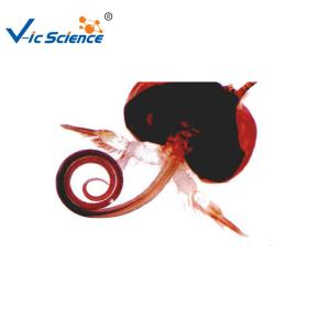 China Laboratory Educational 15pcs Microscope Glass Slides factory