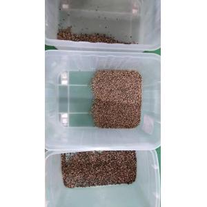 Automatic CCD Grain Color Sorter , 3t/h Pepper Sorting Machine