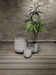 Customizable Fiber Clay Planter for Indoor and Outdoor Plants