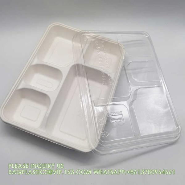 Costom Printed Paper Pulp Takeaway Sauces Packing Tableware Multi-Compartment