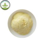 durian fruit powder buy best health benefits supplement smell products nutrition