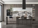 Linear Style E1 E0 Environment Standard Kitchen Room Cabinets Furniture