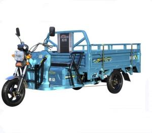 China Micro Recumbent 48v 800W 3 Wheel Cargo Motorcycle factory