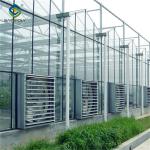 Venlo Greenhouse Commercial Polycarbonate Glass Greenhouse For Seeds Vegetables