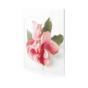 China Ultralight design glass display EXCEL LED factory