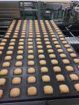 ISO9000 Aeration Mixing Machine Custard Cake Tart Cake Production Equipment