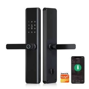 China QLEUNG S818 Smart Wifi Door Lock with Fingerprint Password Card Access factory
