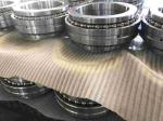 Long Service Life Cylindrical Roller Bearing RN300 Series Customization & OEM