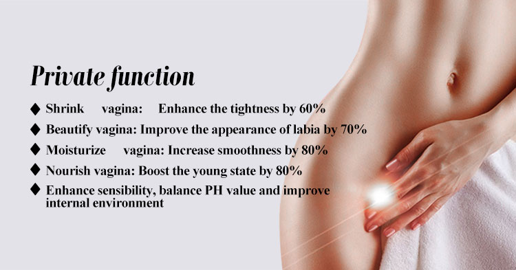 68.0 kg CO2 Fractional Laser Machine Vaginal Therapy System 12 Months Warranty