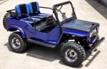 Chain Drive Wheelbase 51.18 Inches Two Seater Go Kart