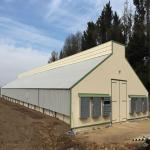 Solid H Shape Beam Poultry Farm Structure Lightweight Steel Frame House Anti