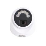 Waterproof Metal 6 Lamp Housing C2240TQ-10H POE White Network Camera