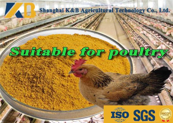 Direct Additive Grower Finisher Chicken Feed / Meat Chicken Feed 65% Protein
