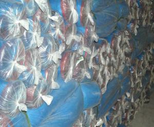 China Nylon window mosquito netting,sea food drying blue plastic net factory