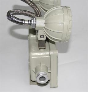China Aluminum Alloy Flameproof Emergency Light CRI Ra&gt;80 for 22 Application factory