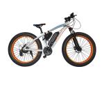 48v Electric Mountain Bike , Front Disc Brake Electric Powered Bicycle Brushless