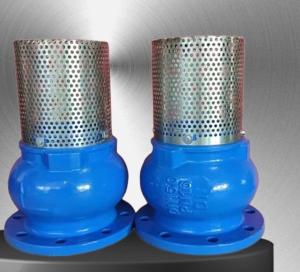 China GGG50 H42X cast iron flanged foot valve manufacturer in China factory