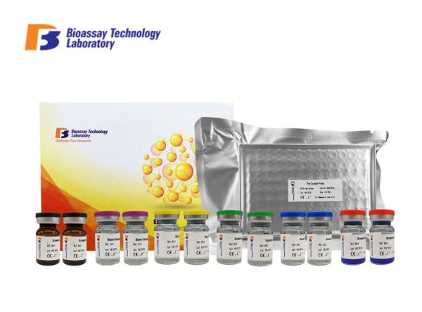 GABA-B Gamma Aminobutyric Acid B ELISA Kit 96 Wells / 48 Wells 1.05μG/Dl