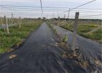 Durable Heavy Duty Weed Control Membrane , High Strength Black Weedblock