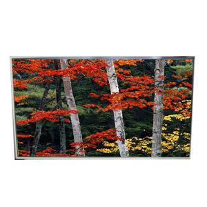 China LD980DQL-SMA1 98.0 Inch Original LCD 3840*2160 LCD Screen Display factory