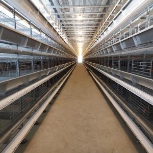 China H Type Egg Chicken Layer Cage Price Chicken Wire Cage for Poultry Farm factory