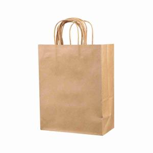 China Biodegradable Takeaway Grocery Paper Craft Bags With Handles factory