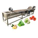 European Market Widely Used Vegetable Washing Machine Ultrasonic Cleaner with