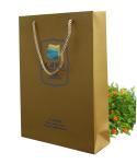 Hot Stamp 230gsm UV Logo Paper Carrier Bag Matt Lamination for advertising
