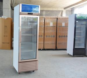 China Single-Temperature Vertical 1-Door Showcase Commercial Refrigeration Beverage Cooler factory