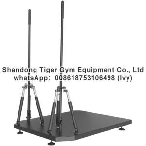 China Gym Fitness Equipment 360° Handle Training Platform factory