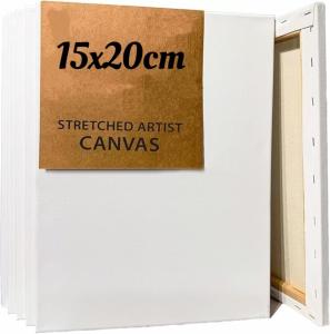 China 15x20cm Stretched Canvas Boards For Painting Stretched Artist Canvas For DIY Decoration factory
