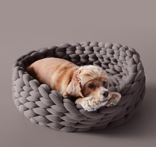 small round cat bed