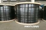 Stainless Steel ANSI 316L Encapsulated Control Line Bright Annealed Thermoplasti