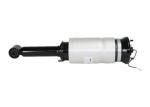 Front Air Suspension Struts Spring Sport Land Rover Range Rover LR019993