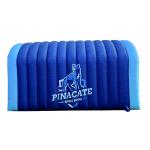 Manufacturer Customize LED And LOGO Air Tents Inflatable Camping Outdoor PVC