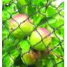 Buy cheap 1m - 500m Vineyard Bird Netting Anti UV Bird Netting For Tomato Plants from wholesalers