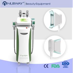 China Cryolipolysis Fat Removal Vaccuum Cryolipolysis Slimming Machine on sale