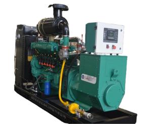 China Biogas Generator Natural Gas Generator Set with ATS factory
