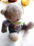 2016 Tatty Teddy Bear Good Hearted Lucky Toy For Kindness Person Good Wished