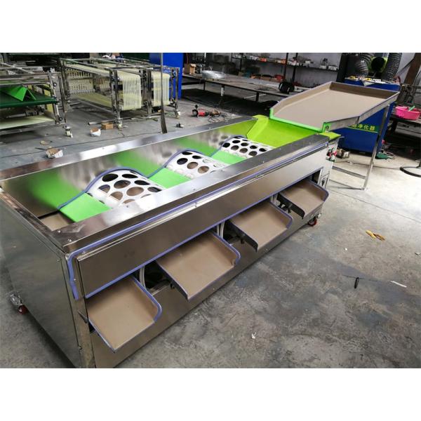 garlic sorting machine, garlic grading machine, garlic grader, garlic sorter