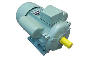 China 3000 RPM Single Phase Induction Motor Steady Running For Water Pumps factory