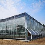 Prefabricated Light Steel Structure Agricultural Vegetable Greenhouse Q235