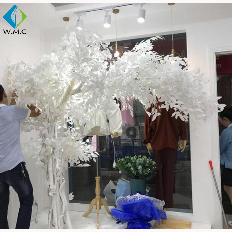 203 banyan ficus.jpg
