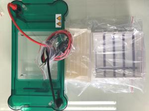 China 3/6/8/11 Sample Volume Agarose Gel Electrophoresis Equipment Science Lab Equipment Jy-spct factory