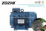 Hollow Shaft Asynchronous Aluminum Motor Hydraulic Power For Plastic Machinery