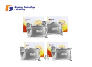 China High Sensitive Hs-CTnT Immunoassays Test Kit Cardiac Troponin T Test factory