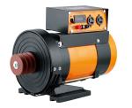 AC Double Bearing High Output Alternator 1.0KVA Rated Power Easy To Install