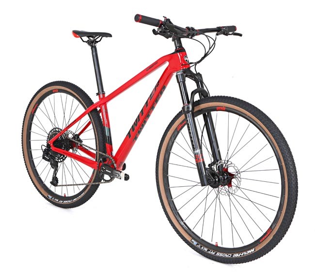 29 Inch Wheel Carbon Fiber Mountain Bike SRAM SX 12S Hydraulic Disc Brake